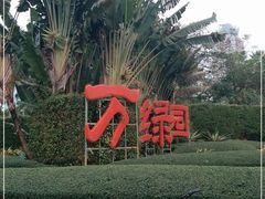 -万绿园