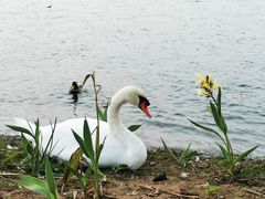 -北龙湖湿地公园