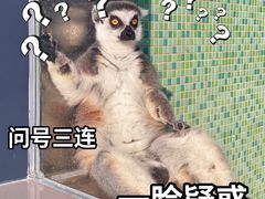 -太原动物园