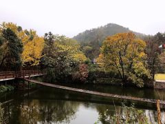 -黄陂区野村谷景区