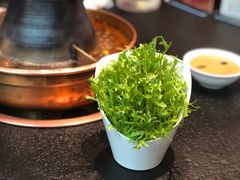 -铜来聚老北京涮肉(恒隆广场店)