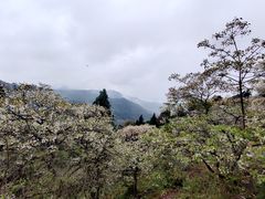 -舒家湾天主教堂