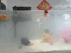 -中田·健身+普拉提(北京通州运河店)