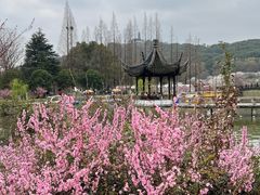 -苏州上方山国家森林公园