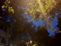 -福烤锦花(长乐路店)