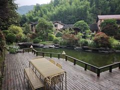 -长沙黑麋峰国家森林公园