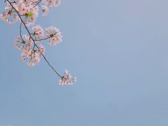 -上海辰山植物园