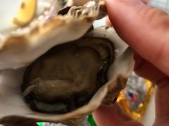 -斯普汇生蚝牛排馆(中骏世界城店)