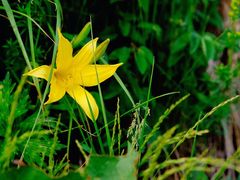 -白草畔自然风景区