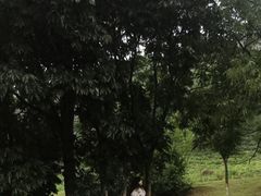 -南京市无想山景区