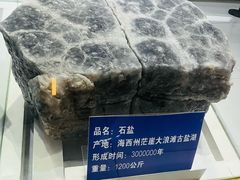 -青藏高原自然博物馆
