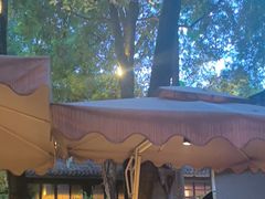 -大妙火锅·非物质文化遗产(东湖公园店)