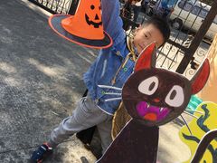 -上海闵行区阶梯吉美幼儿园