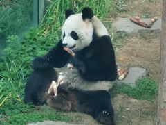 -大连森林动物园