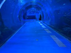 -波塞冬旅游度假区