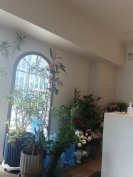 点击看大图 -WAVE SODA摄影工作室