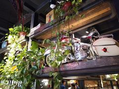 -探鱼·鲜青椒爽麻烤鱼(西南商都店)