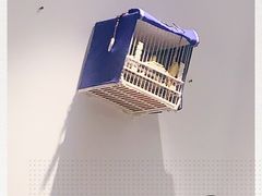 -乌江鱼杭帮菜(西湖店)