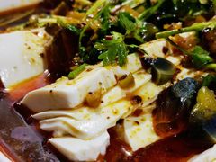 -七裕庄(凯旋南路店)