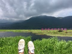-腾冲北海湿地