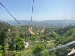 -缙云山景区