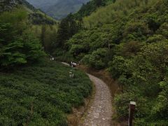 -仙霞关景区