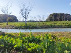 -嘉北郊野公园