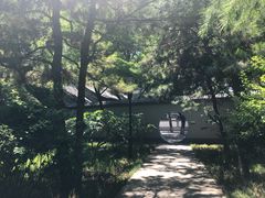 -玲珑塔公园