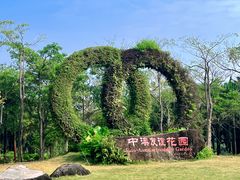 -中澳友谊花园