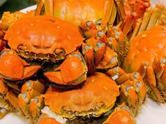 -王宝和酒家(黄浦店)