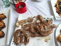 -宾朋海鲜特色美食餐厅·纯手工鲅鱼水饺(兴海路店)