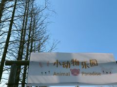 -上海长兴岛郊野公园