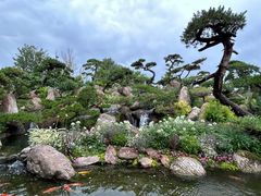 -罗红摄影艺术馆