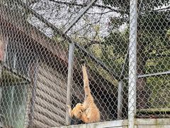-贵州森林野生动物园