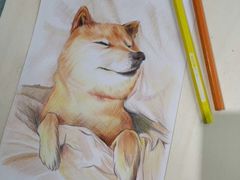 -八哥美术·成人美术画室(总校区)
