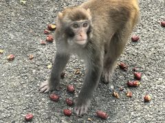 -宁波野生动物园