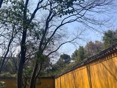 -西园戒幢律寺