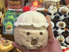 -首开·龙湖成都西宸天街