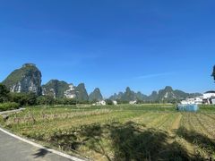 -明仕田园