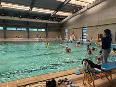 -西南大学（北碚校区）恒温游泳馆