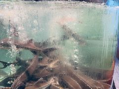 -贺庄·活鱼馆(珠吉路店)