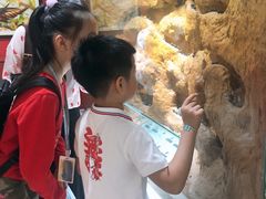 -上海昆虫博物馆