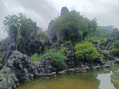 -千岛湖石林