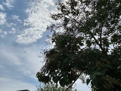 -张家港凤凰山景区恬庄古街