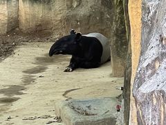 -杭州野生动物世界