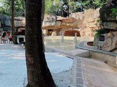 -海口观澜湖火山温泉谷