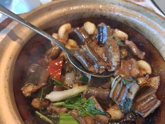 黄鳝煲-新兴·金羊座·粤菜点心(乐峰店)