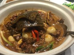 红烧甲鱼-春天来了(印象新天地店)