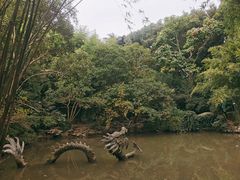 -汇龙潭