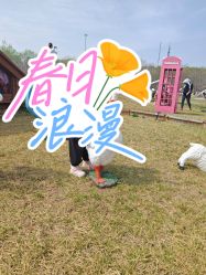 -268童话露营农场·烧烤·团建